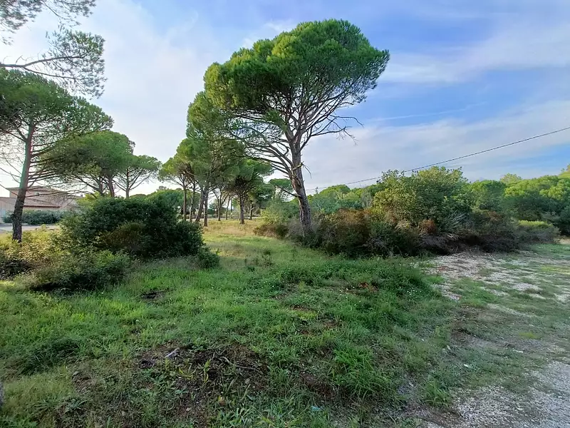 Maison neuve, 122 m² - Puget-sur-Argens (83480)