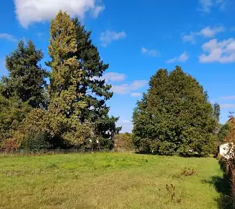 Maison neuve, 95 m²