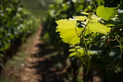 Maison neuve, 130 m²