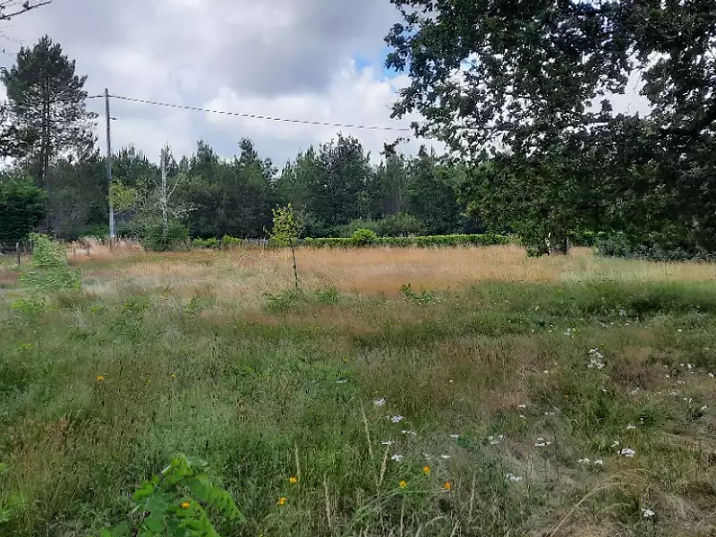 Terrain à bâtir, 696 m² - Le Porge (33680)
