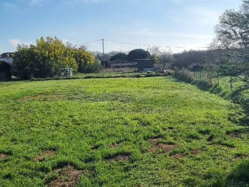 Maison neuve, 110 m² - Lherm (31600)