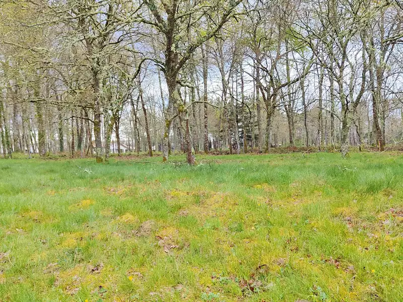 Terrain à bâtir, 418 m² - Saint-Jean-d'Illac (33127)