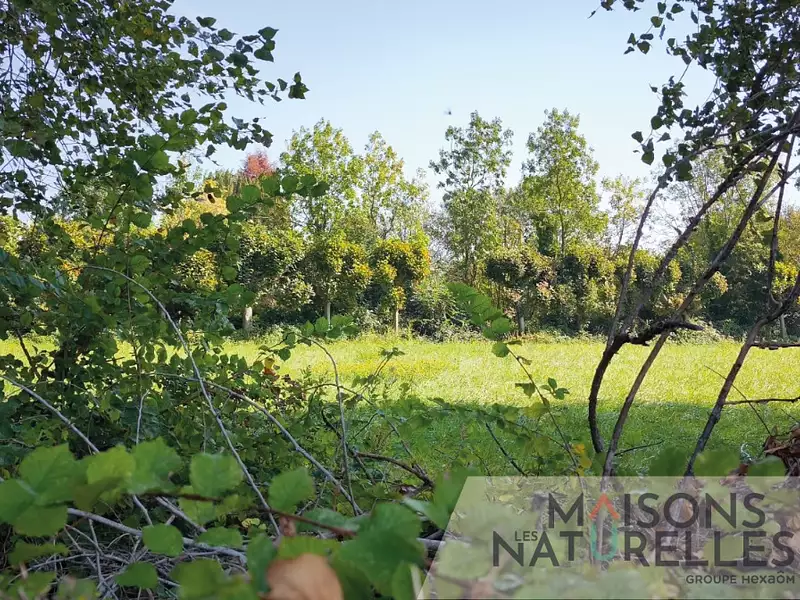 Terrain à bâtir, 1 184 m² - Marconnelle (62140)