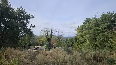 Terrain à bâtir, 1 174 m²