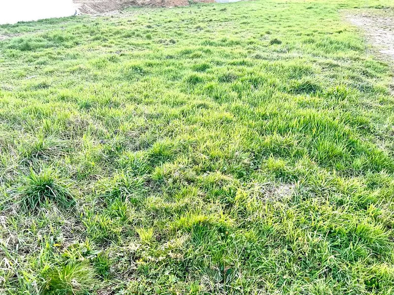 Terrain à bâtir, 389 m² - Péronnas (01960)