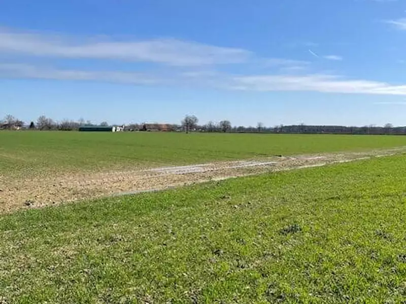 Terrain à bâtir, 1 299 m² - Vitry-en-Charollais (71600)