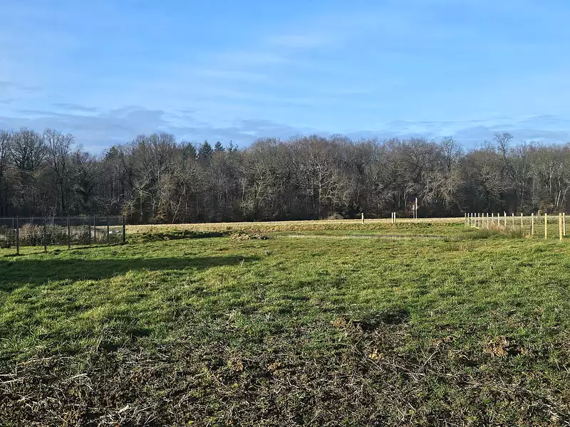 Terrain à bâtir, 1 575 m² - Saint-Germain-du-Plain (71370)