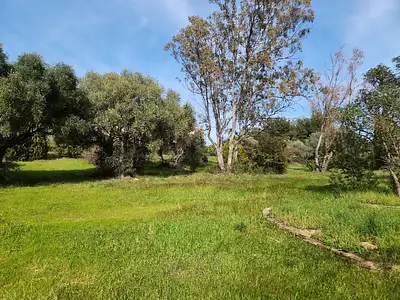 Maison neuve, 115 m²