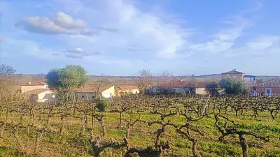 Terrain à bâtir, 1 643 m²