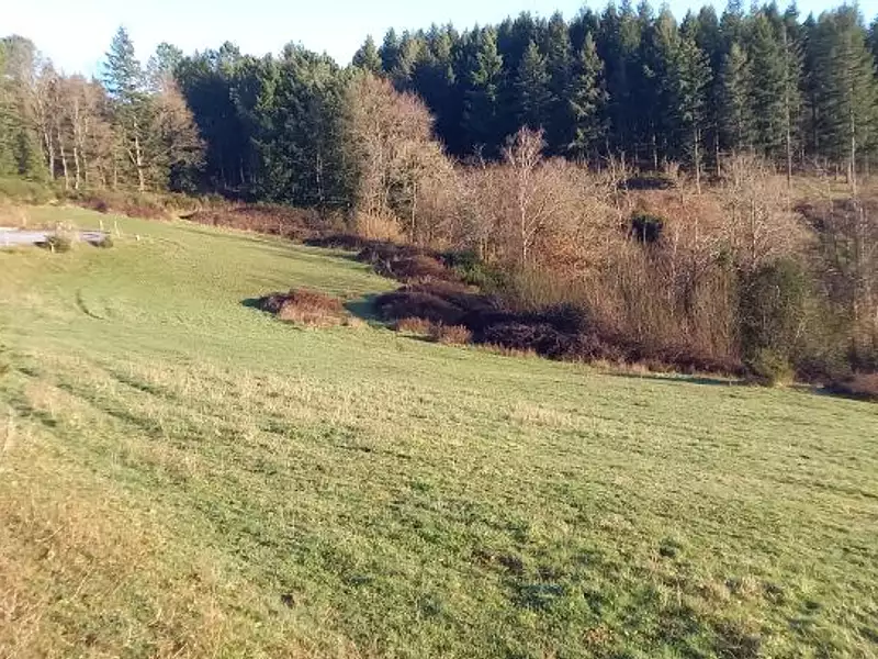 Terrain à bâtir, 650 m² - Payrin-Augmontel (81660)