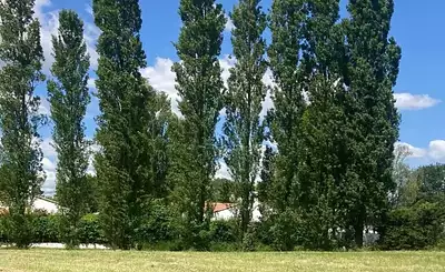 Maison neuve, 79 m²