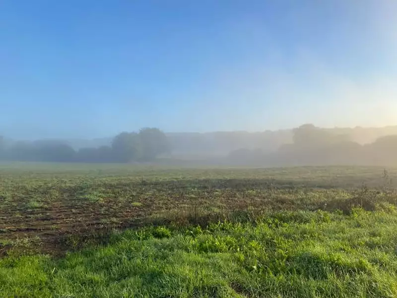Le Hameau du Lavoir - Plaudren (56420)