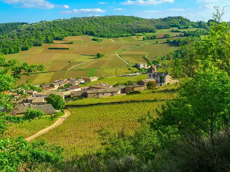 Terrain à bâtir, 350 m² - Chavagnes-en-Paillers (85250)