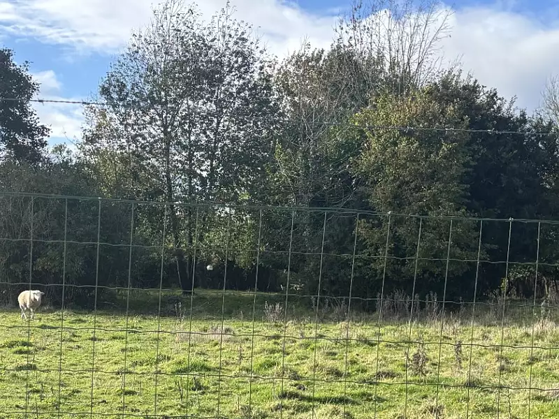 Terrain à bâtir, 2 578 m² - Ivergny (62810)