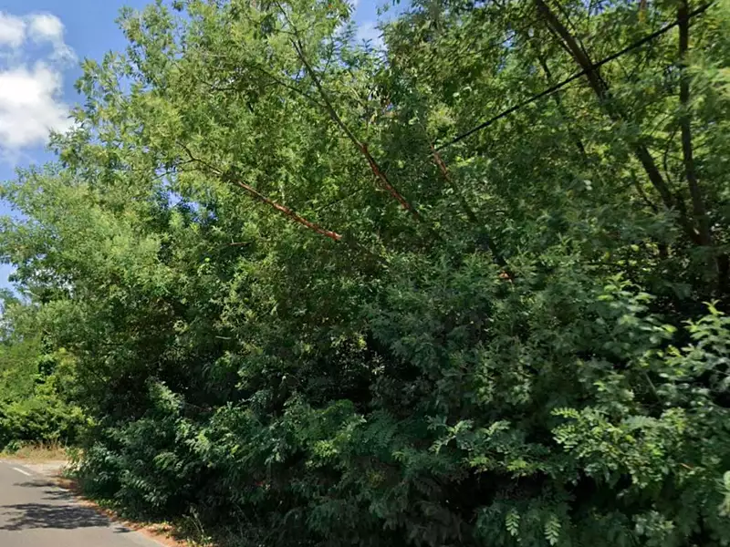 Terrain à bâtir, 1 715 m² - Eysines (33320)