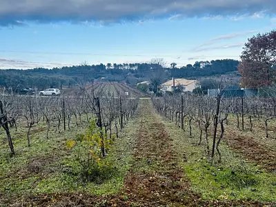 Maison neuve, 83 m²