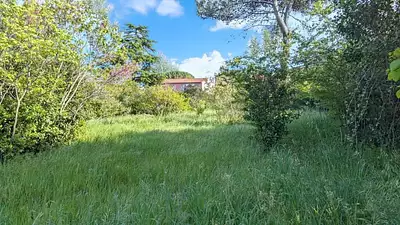 Maison neuve, 150 m²