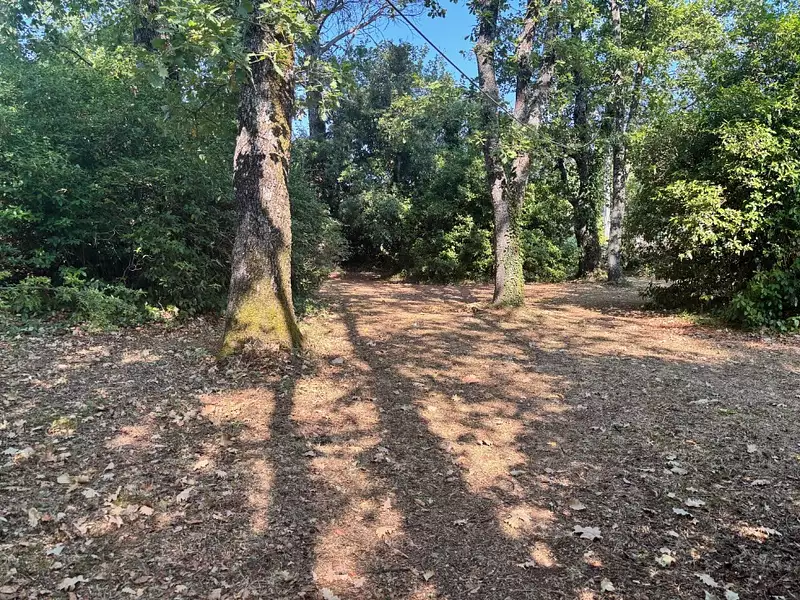 Terrain à bâtir, 1 095 m² - Saint-Cézaire-sur-Siagne (06530)