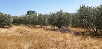 Maison neuve, 98 m²