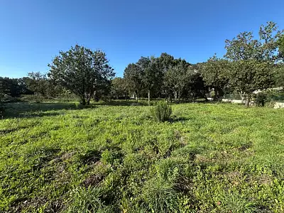 Maison neuve, 200 m²