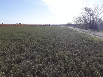 Maison neuve, 116 m²