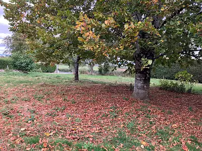 Terrain à bâtir, 1 000 m²