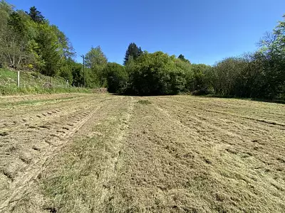 Maison neuve, 100 m²