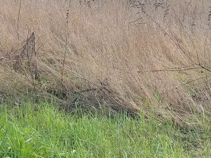 Terrain à bâtir, 578 m² - Saint-Martin-la-Pallu (86380)