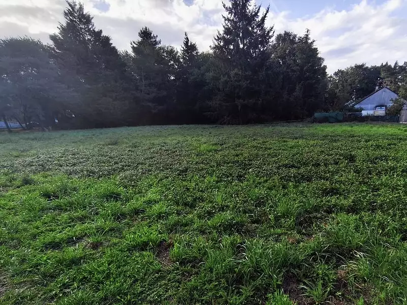 Terrain à bâtir, 1 600 m² - Villefranche-sur-Cher (41200)