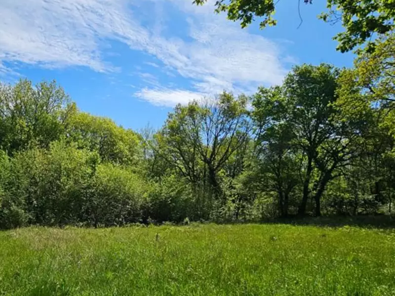 Terrain à bâtir, 1 980 m² - Noailles (19600)