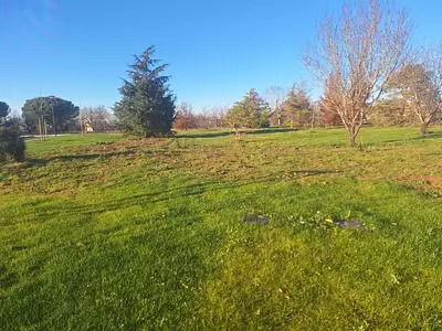 Terrain à bâtir, 7 370 m²