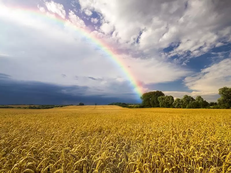 Terrain à bâtir, 1 576 m² - La Selle-sur-le-Bied (45210)