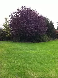 Maison neuve, 140 m²