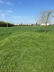 Terrain à bâtir