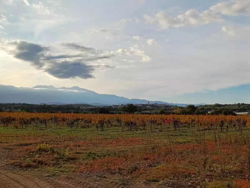 Terrain à bâtir, 473 m² - Brouilla (66620)