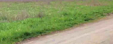 Terrain à bâtir, 1 036 m²