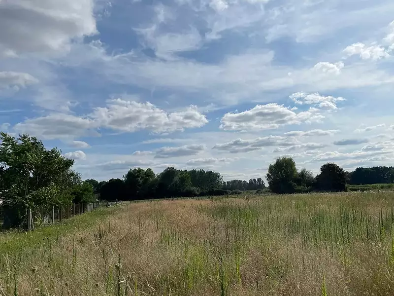 Terrain à bâtir, 950 m² - Ouzilly (86380)