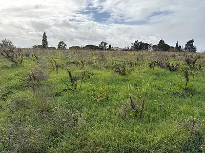 Maison neuve, 120 m²