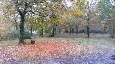 Terrain à bâtir, 720 m²