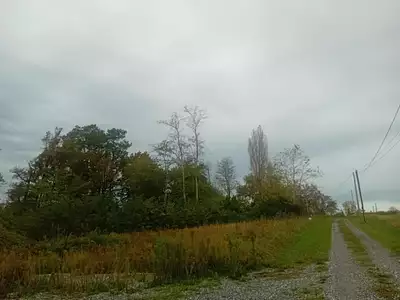 Maison neuve, 115 m²