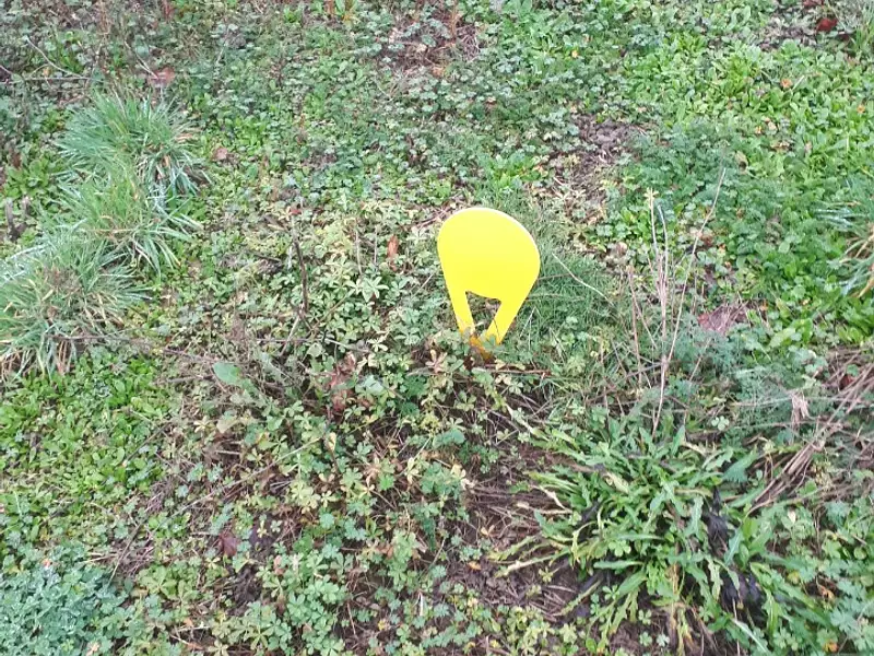 Terrain à bâtir, 430 m² - Longué-Jumelles (49160)