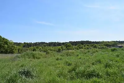 Maison neuve, 100 m²