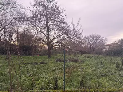 Maison neuve, 84 m²