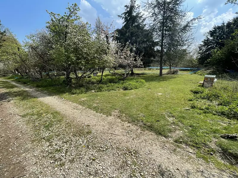 Maison neuve, 104 m² - Pontault-Combault (77340)