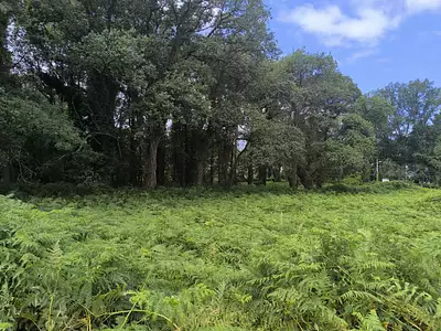 Maison neuve, 80 m²