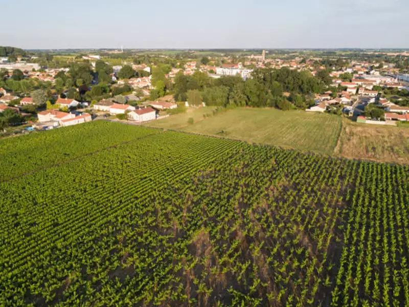 Terrain à bâtir, 551 m² - Vallet (44330)