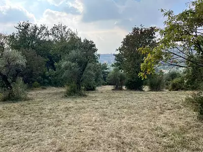 Maison neuve, 170 m²