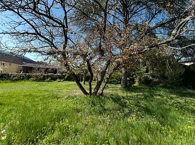 Jardin Secret