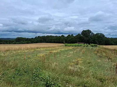 Maison neuve, 98 m²