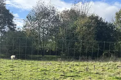 Maison neuve, 96 m²